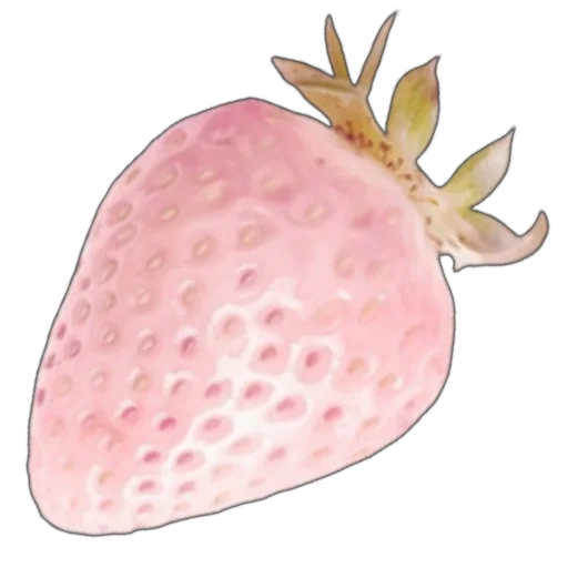 🍓 Стикер «розовые мечты» для Telegram