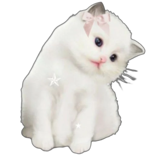 🐱 Стикер «розовые мечты» для Telegram