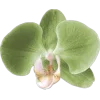 Стикер 35 fairy aura