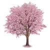 Стикер 60 Pink Brown Autumn