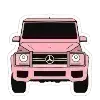 Стикер 48 Pink ⭐️