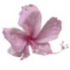 Стикер 11 pink #розовые #pink