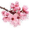 Стикер 50 pink #розовые #pink