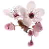 Стикер 8 pink #розовые #pink