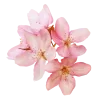 Стикер 23 pink #розовые #pink