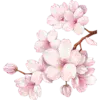 Стикер 9 pink #розовые #pink
