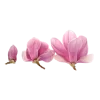 Стикер 39 pink #розовые #pink