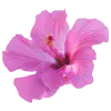 Стикер 47 pink #розовые #pink