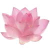 Стикер 2 pink #розовые #pink