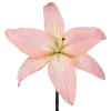 Стикер 12 pink #розовые #pink