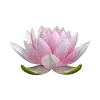 Стикер 32 pink #розовые #pink