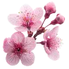 Стикер 41 pink #розовые #pink