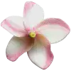 Стикер 45 pink #розовые #pink