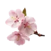Стикер 22 pink #розовые #pink