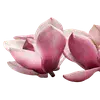 Стикер 28 pink #розовые #pink