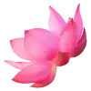 Стикер 26 pink #розовые #pink