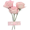 Стикер 13 pink #розовые #pink