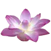 Стикер 33 pink #розовые #pink
