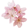 Стикер 16 pink #розовые #pink
