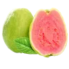 Стикер 48 ᅠ 𔓘 Pingresa