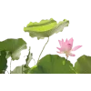 Стикер 16 ᅠ 𔓘 Pingresa
