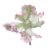 Стикер 13 ᅠ 𔓘 Pingresa