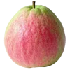 Стикер 42 ᅠ 𔓘 Pingresa