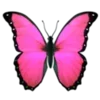 Стикер 28 Pinkkk