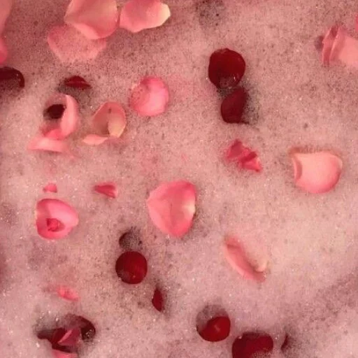 🌹 Стикер «lovely love» для Telegram