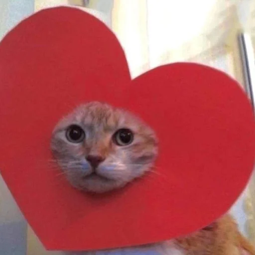 😻 Стикер «lovely love» для Telegram