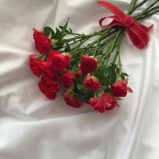 ❤️ Стикер «lovely love» для Telegram