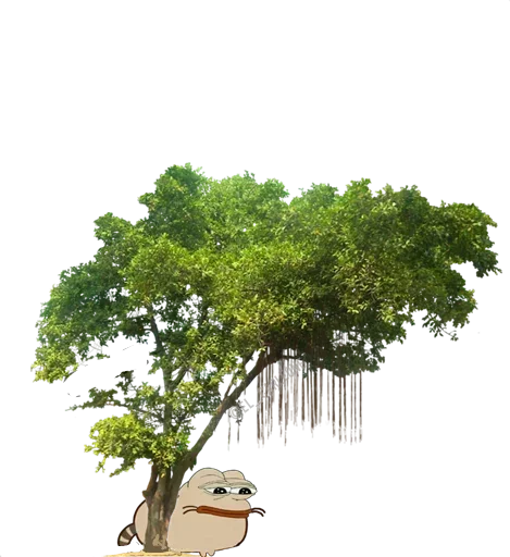 😩 Стикер «Pink Pepe» для Telegram