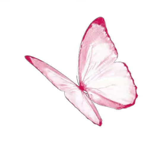 🦋 Стикер «White and Pink» для Telegram