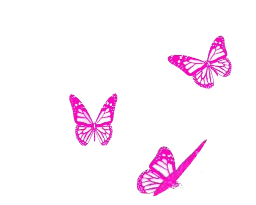 🦋 Стикер «White and Pink» для Telegram