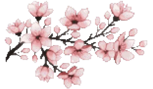 🌸 Стикер «White and Pink» для Telegram