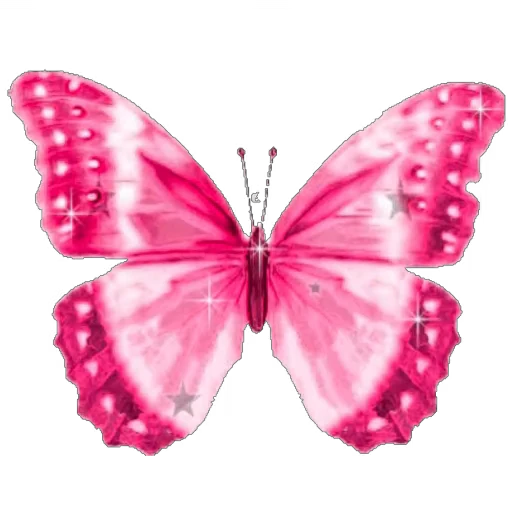 🦋 Стикер «White and Pink» для Telegram