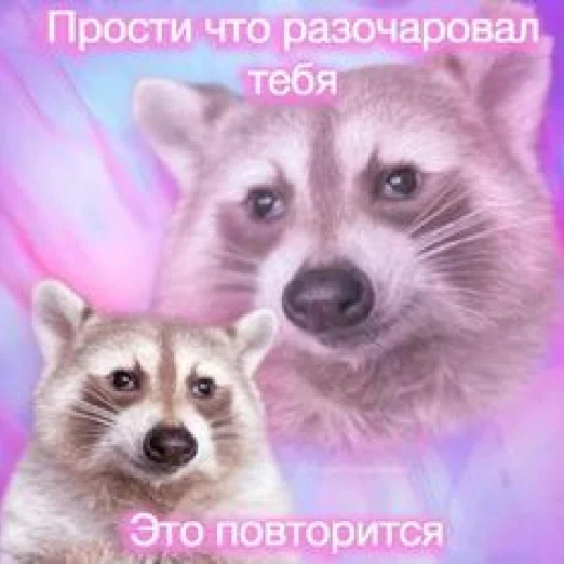 🫥 Стикер «Разрывные еноты» для Telegram