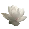 🪷 Эмодзи «» для Telegram