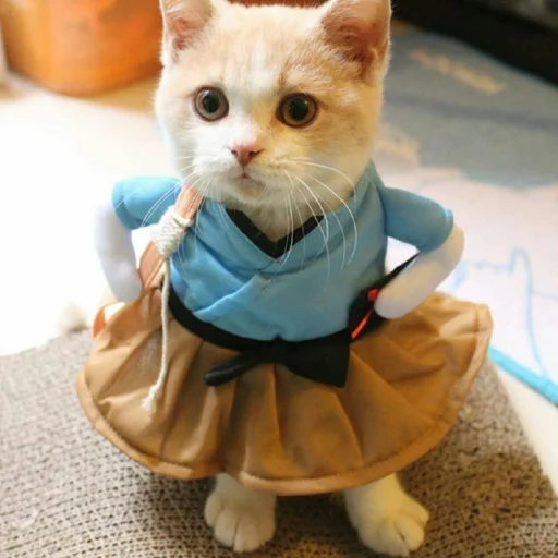 😺 Стикер «Pishi» для Telegram