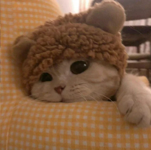 🐈 Стикер «Pishi 3» для Telegram