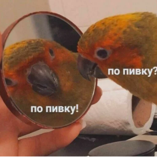 🍻 Стикер «Пиво для позитива» для Telegram