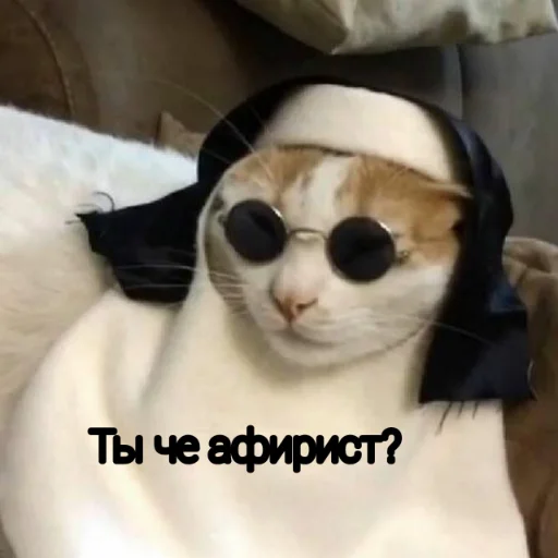 ❓ Стикер «Пиво для позитива» для Telegram