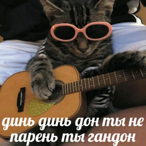 🎸 Стикер «Пиво для позитива» для Telegram