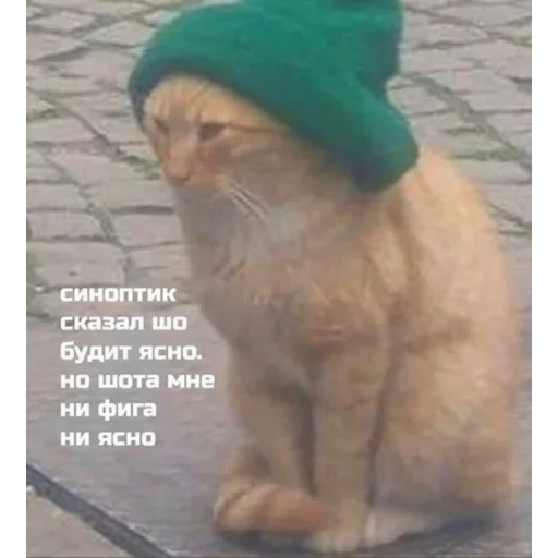 🤷‍♂ Стикер «Пиво для позитива» для Telegram