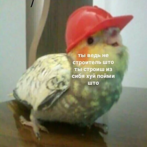 ⛑ Стикер «Пиво для позитива» для Telegram