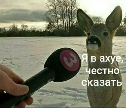 😶 Стикер «Пиво для позитива» для Telegram