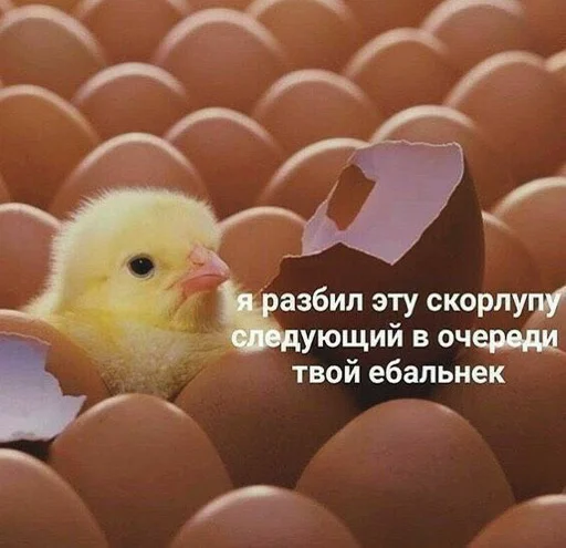 🔫 Стикер «Пиво для позитива» для Telegram
