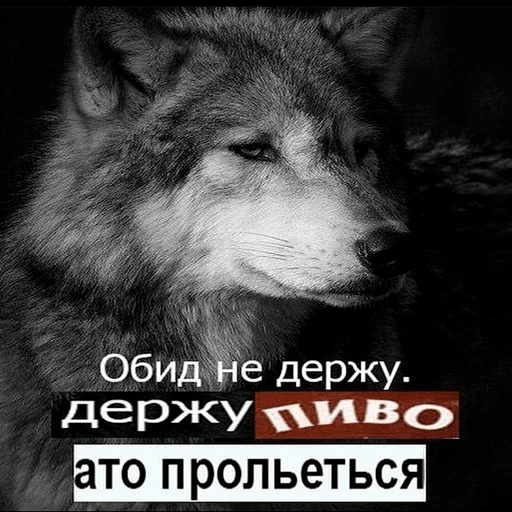 😌 Стикер «пиво и ничего лишнего» для Telegram