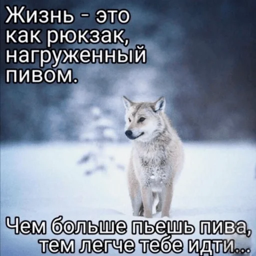 🐺 Стикер «пиво и ничего лишнего» для Telegram