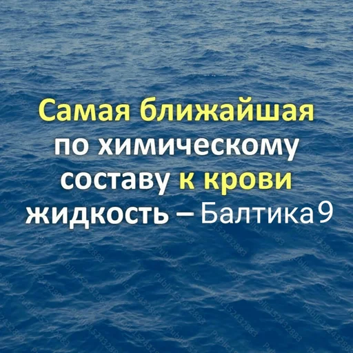 🤓 Стикер «пиво и ничего лишнего» для Telegram